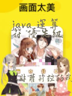 java 运算符 优先级