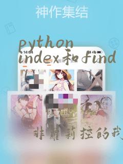 python index和find