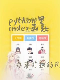 python里index函数