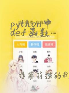 python中def函数