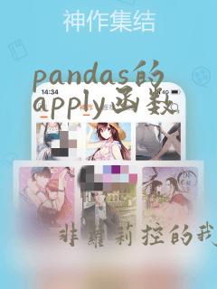 pandas的apply函数