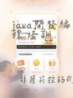 java开发编程 培训