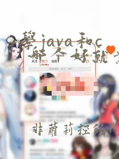 学java和c  哪个好就业