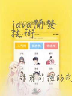 java开发 技术