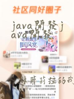 java开发java开发