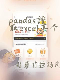 pandas读取excel某个sheet