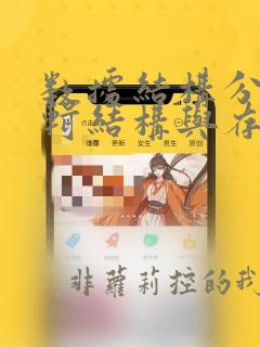 数据结构分为逻辑结构与存储结构