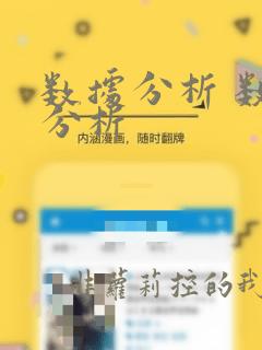 数据分析 数据分析