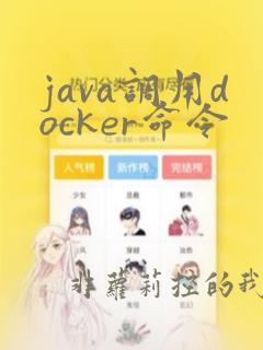 java调用docker命令