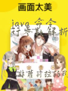 java 命令行参数解析
