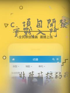 c  项目开发实战入门