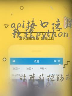 api接口使用教程python