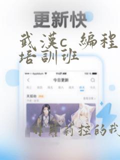 武汉c  编程培训班