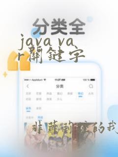 java var关键字