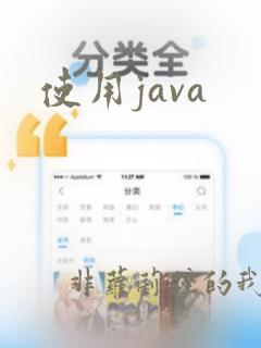 使用java