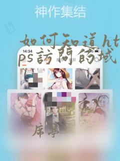 如何知道https访问的域名
