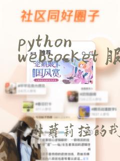 python websocket 服务器