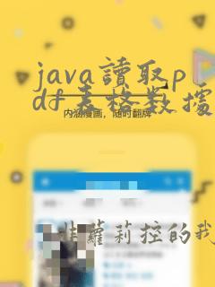 java读取pdf表格数据