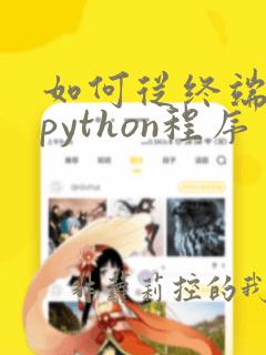 如何从终端运行python程序