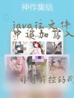 java往文件中追加写入数据