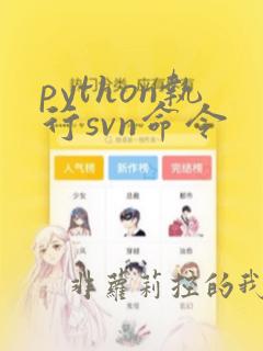 python执行svn命令