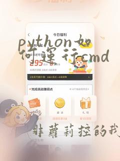 python如何运行cmd