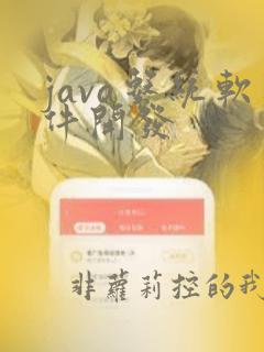 java系统软件开发
