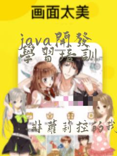 java开发 学习培训