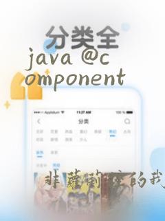 java @component