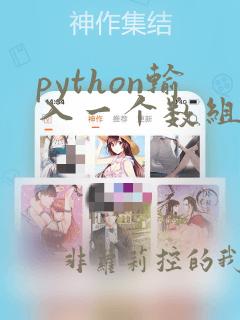 python输入一个数组 input