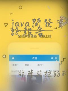 java开发实践报告