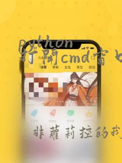 python 打开cmd窗口