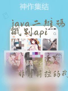java二维码识别api