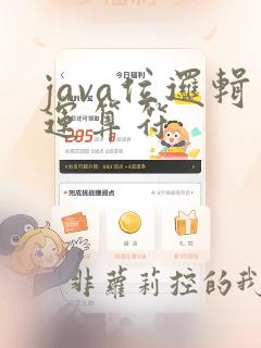 java位逻辑运算符