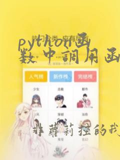 python函数中调用函数