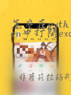 怎么在python中打开excel