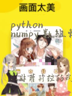 python numpy 数组转置