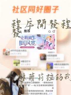 程序开发程序开发