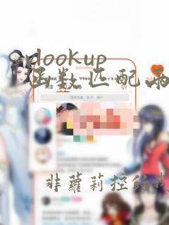 vlookup函数匹配两个条件的使用方法
