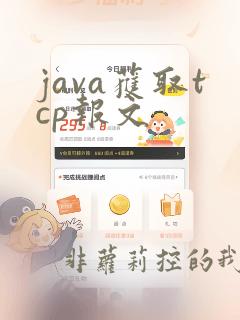 java获取tcp报文