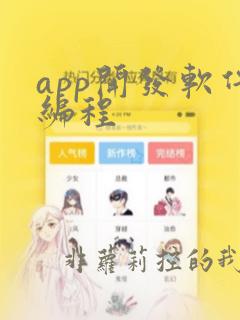 app开发软件编程