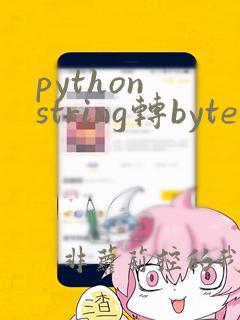 python string转byte