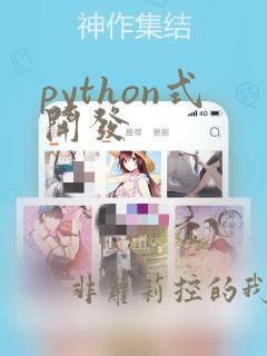 python式开发
