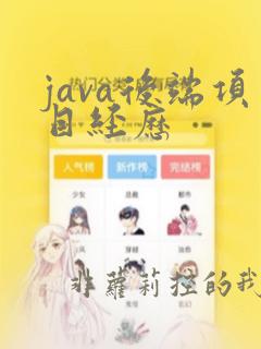 java后端项目经历