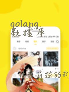 golang 数据库
