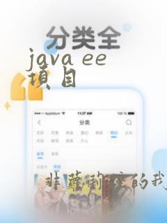 java ee项目
