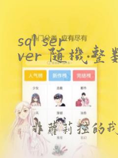 sql server 随机整数