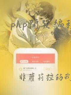 php开发编程