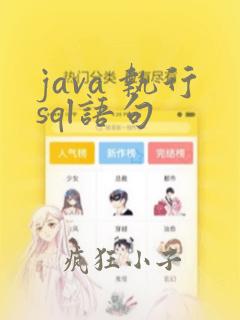 java 执行sql语句