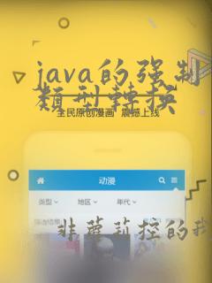 java的强制类型转换